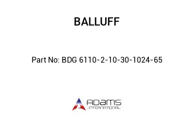 BDG 6110-2-10-30-1024-65									