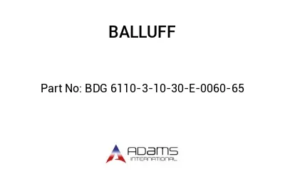 BDG 6110-3-10-30-E-0060-65									