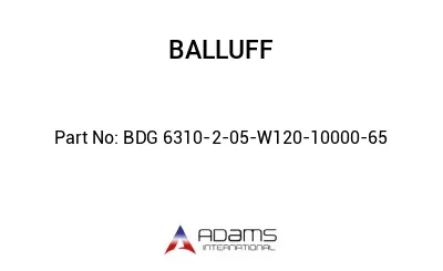 BDG 6310-2-05-W120-10000-65									