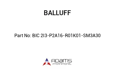 BIC 2I3-P2A16-R01K01-SM3A30									