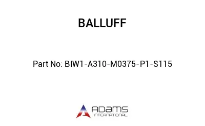 BIW1-A310-M0375-P1-S115									