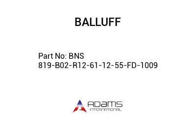 BNS 819-B02-R12-61-12-55-FD-1009									