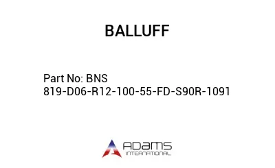 BNS 819-D06-R12-100-55-FD-S90R-1091									