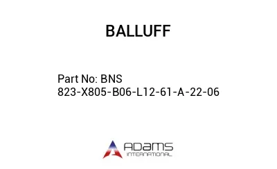 BNS 823-X805-B06-L12-61-A-22-06									