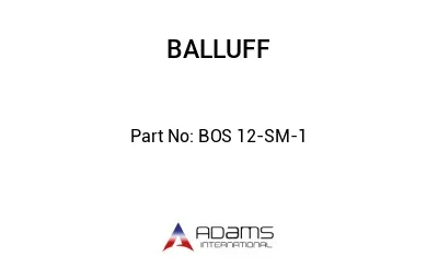 BOS 12-SM-1									