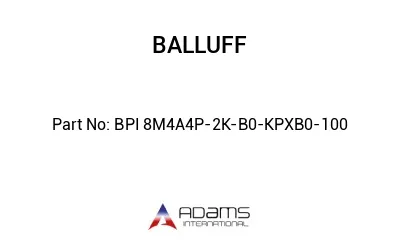 BPI 8M4A4P-2K-B0-KPXB0-100									