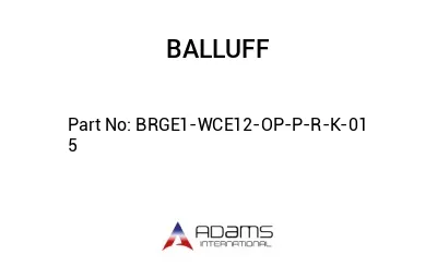 BRGE1-WCE12-OP-P-R-K-01	5								