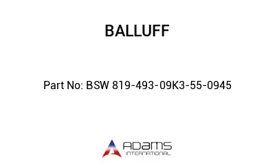 BSW 819-493-09K3-55-0945									